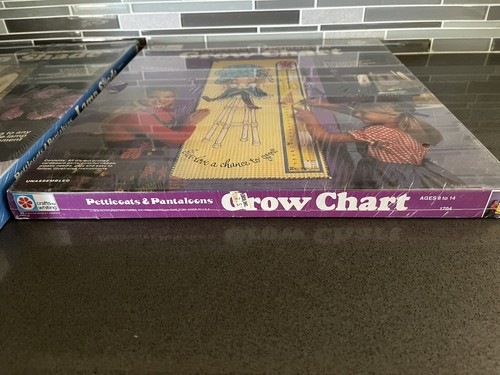 Vtg Sealed Lampshade & Grow Chart PETTICOATS & PANTALOONS CRAFTS BY WHITING 70’s - Picture 4 of 6
