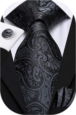 Hi-Tie Men 63Inches Tie Set Extra Long Necktie Paisley Tie Pocket Suqare Cufflin