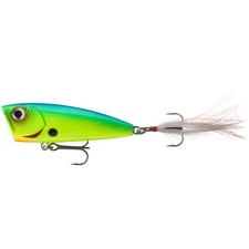 Daiwa Steez Popper 60F