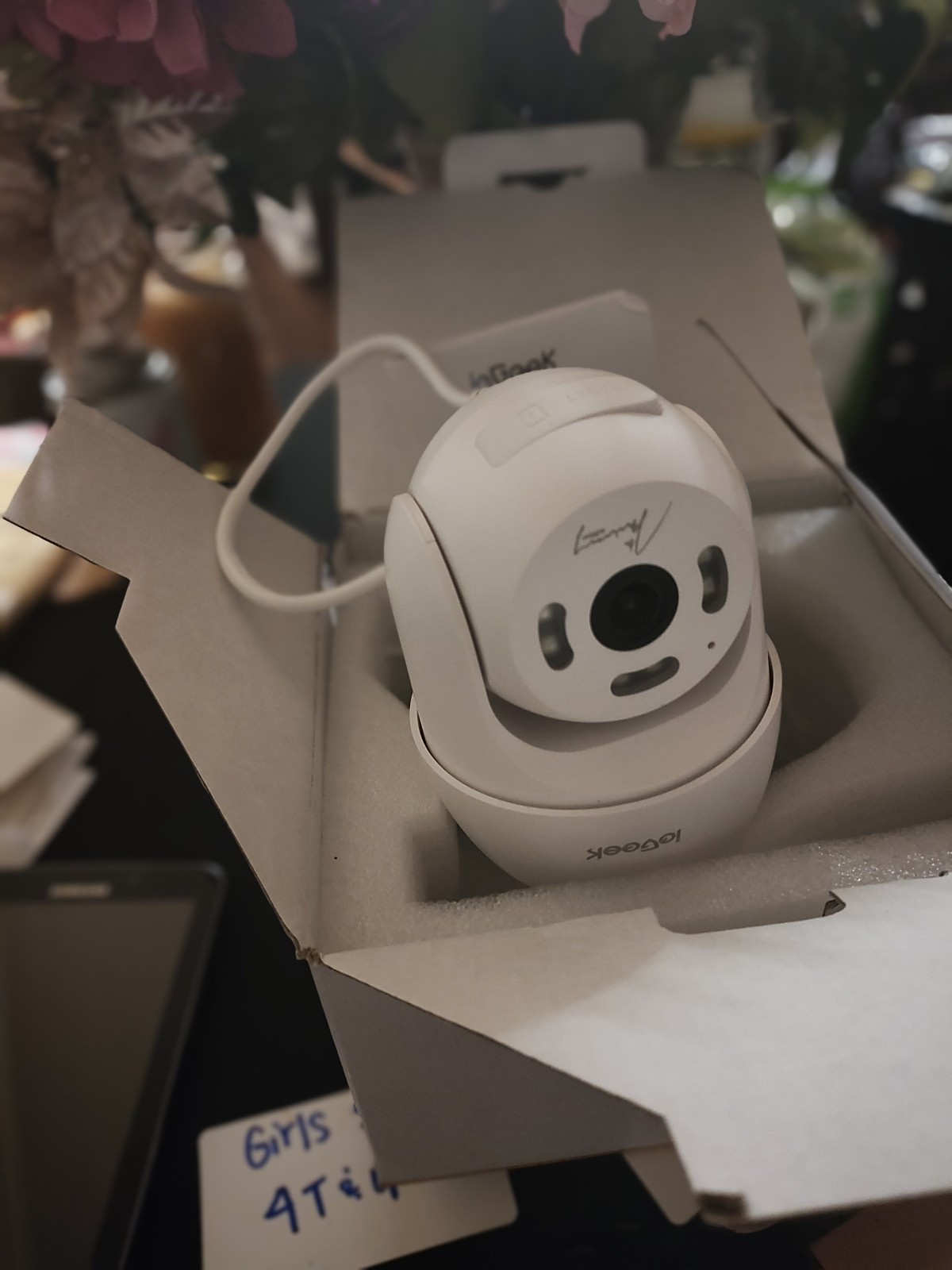 ieGeek 360° PTZ Outdoor WiFi Security Camera 1080P Smart Home Surveillance