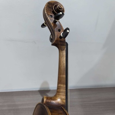 SurpassMusic 4/4 Violin Outfit Maple Back Solid Spruce Top with Case&Bow