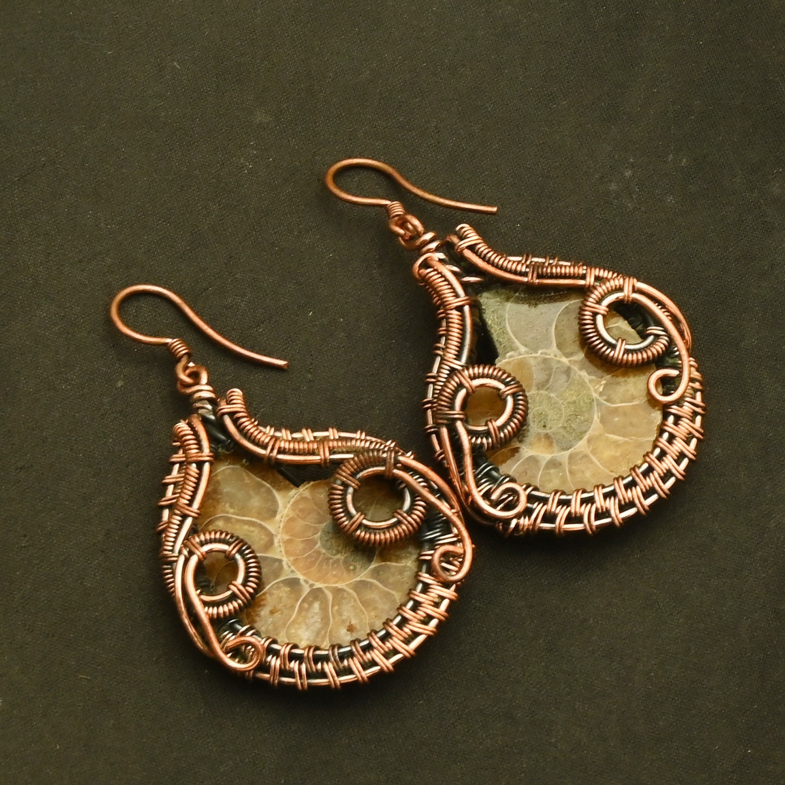 Ammonite Fossil Gemstone Drop Dangle Copper Wire Earrings Jewelry 2