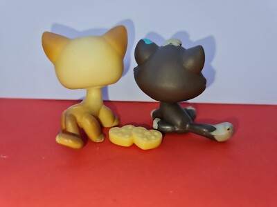 Authentic Littlest Pet Shop #816 Shorthair Cat / Original Hasbro LPS