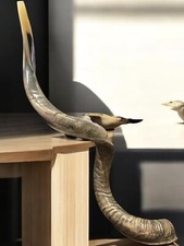 XXXL Kudu Yemenite Horn Shofar Chofar 52" 132 Cm kosher FULL Natural Very Rare