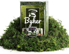 16OZ Bulk Artificial Moss for Plants Indoor - Realistic Green Moss for Crafts, F