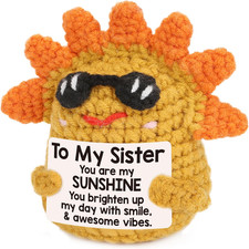 My Sister Sunshine Gift, Unique Birthday Gifts from Little Sister Brother, Best