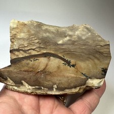 Desert Jasper Scenic Picture Stone Rough Raw Slice Slab For Lapidary Or Display