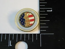 ARMY NATIONAL GUARD LOGO PIN BG#175