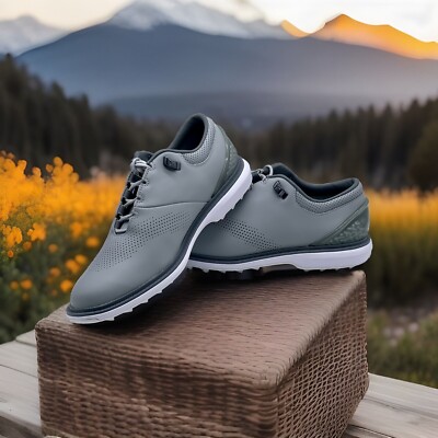 NIKE Golf JORDAN ADG4 26cm ジョーダン Jordan nike ナイキ ジョーダン メンズ ADG 4 Golf ゴルフ