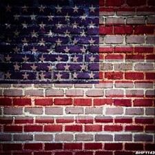 Brick 10'x10' Computer-painted Scenic Photo Background Vinyl Backdrop BHF1143