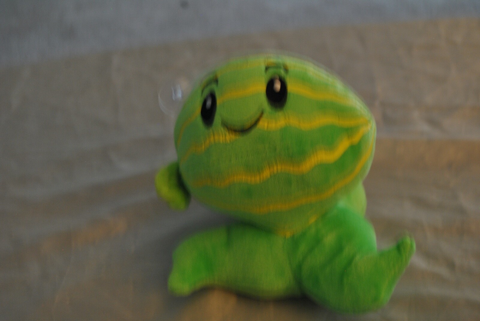 Picture 6 of 12