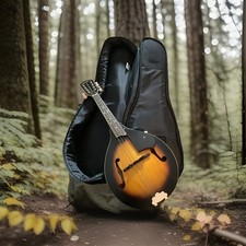 Gretsch New Yorker 8 String Mandolin W/ Case 28 X 10.5