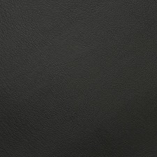 Automotive Vinyl Oem Matching Colors Automotive Vinyl Oem Matching Colors