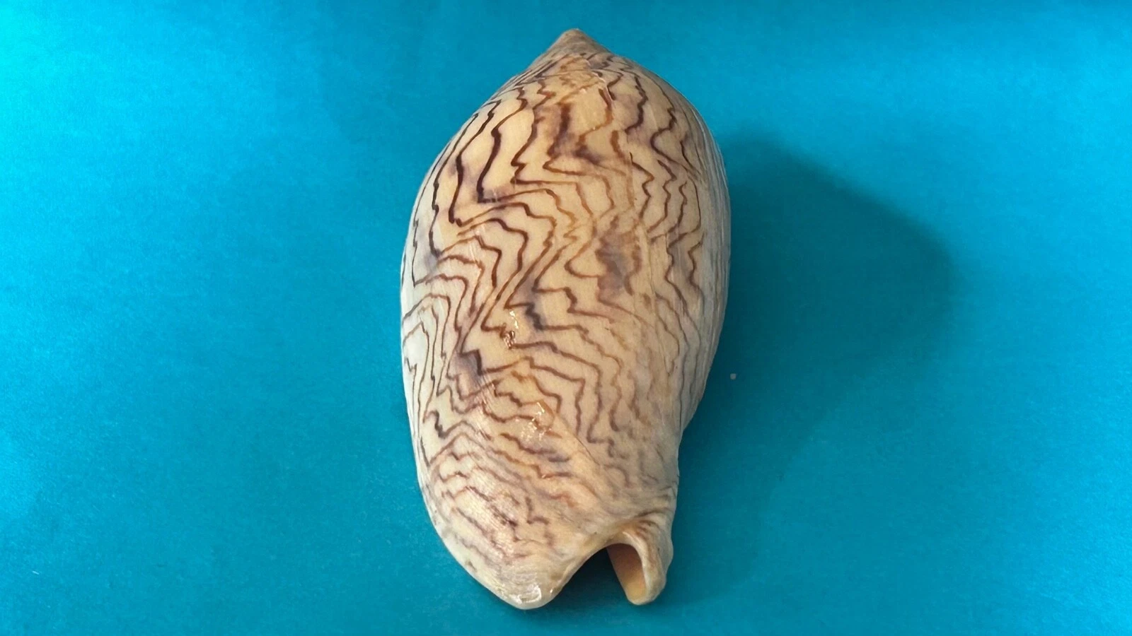 Picture 4 of 10