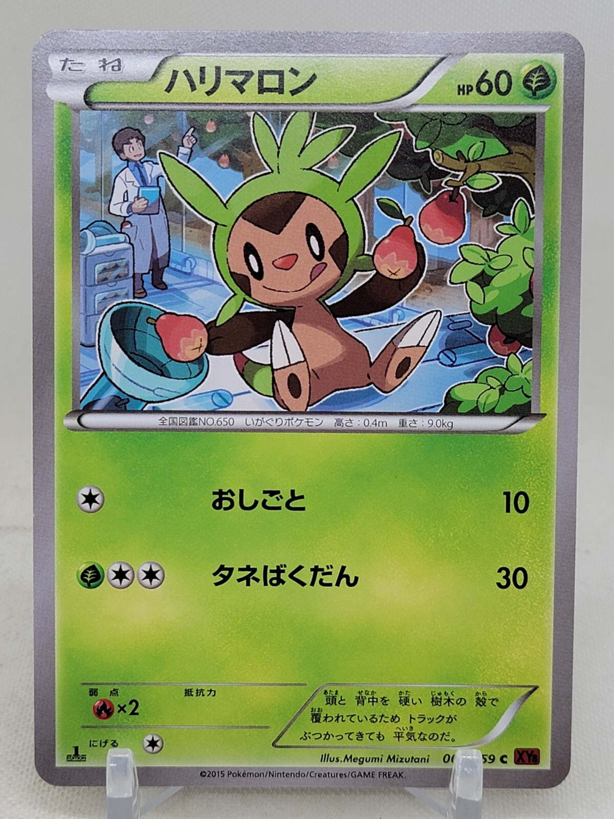 Chespin 3/59 1st ED XY8 Red Flash Japanese Pokemon Card