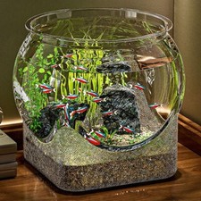 Ultra Clear Round Fish Bowl Removable Desktop Small Aquarium  Tabletop Ornament