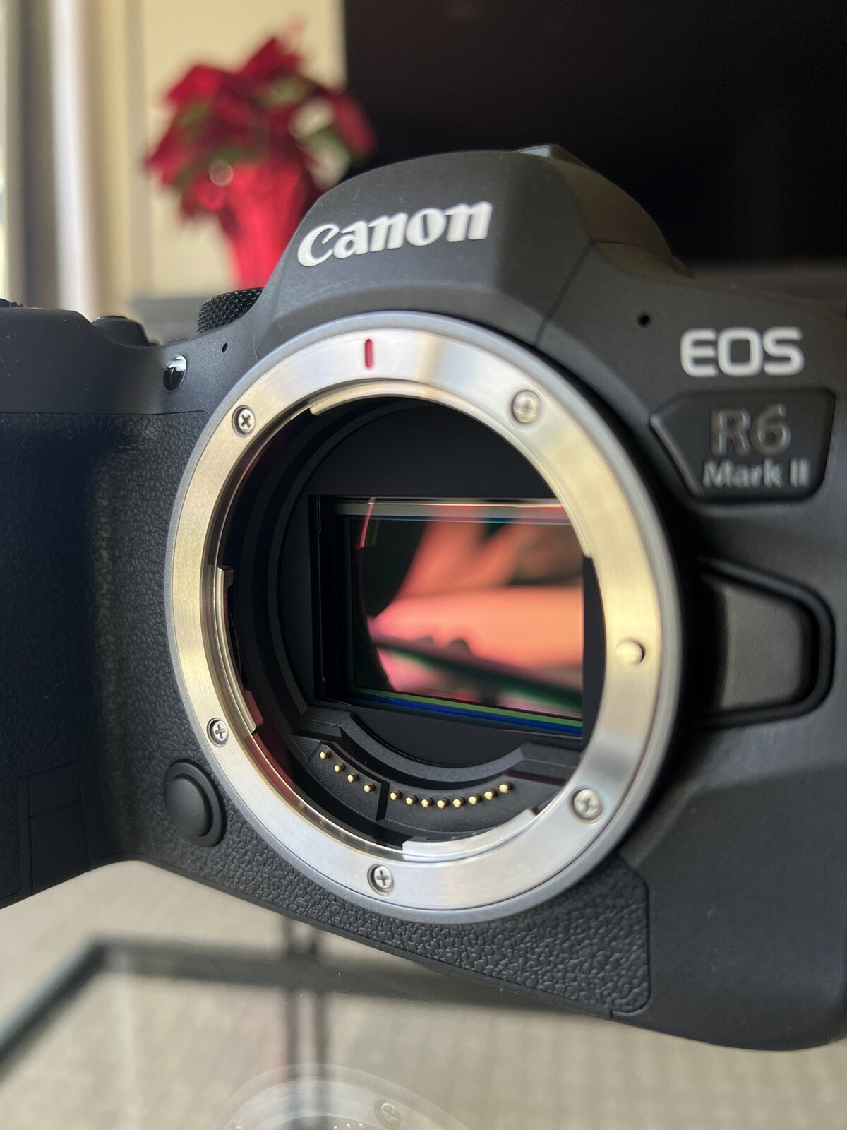 Canon EOS R6 Mark II Body 0 Shutter Count USA Model. 13803348910 eBay