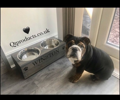 personalised dog feeding station
