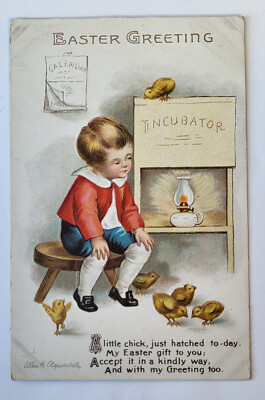 C 1910 EASTER PC BOY WATCHES INCUBATOR FOR HATCHING CHICKS ELLEN CLAPSADDLE