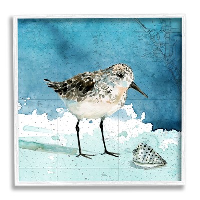 Sandpiper Bird and Shell Nautical Ocean Map, Designed by Carol Robinson White...