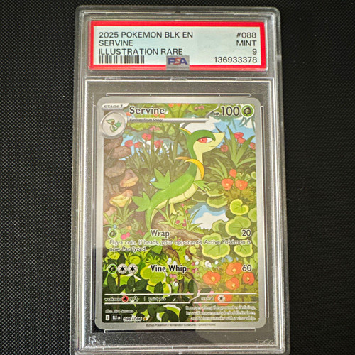 Servine graded PSA 9 for sale on eBay