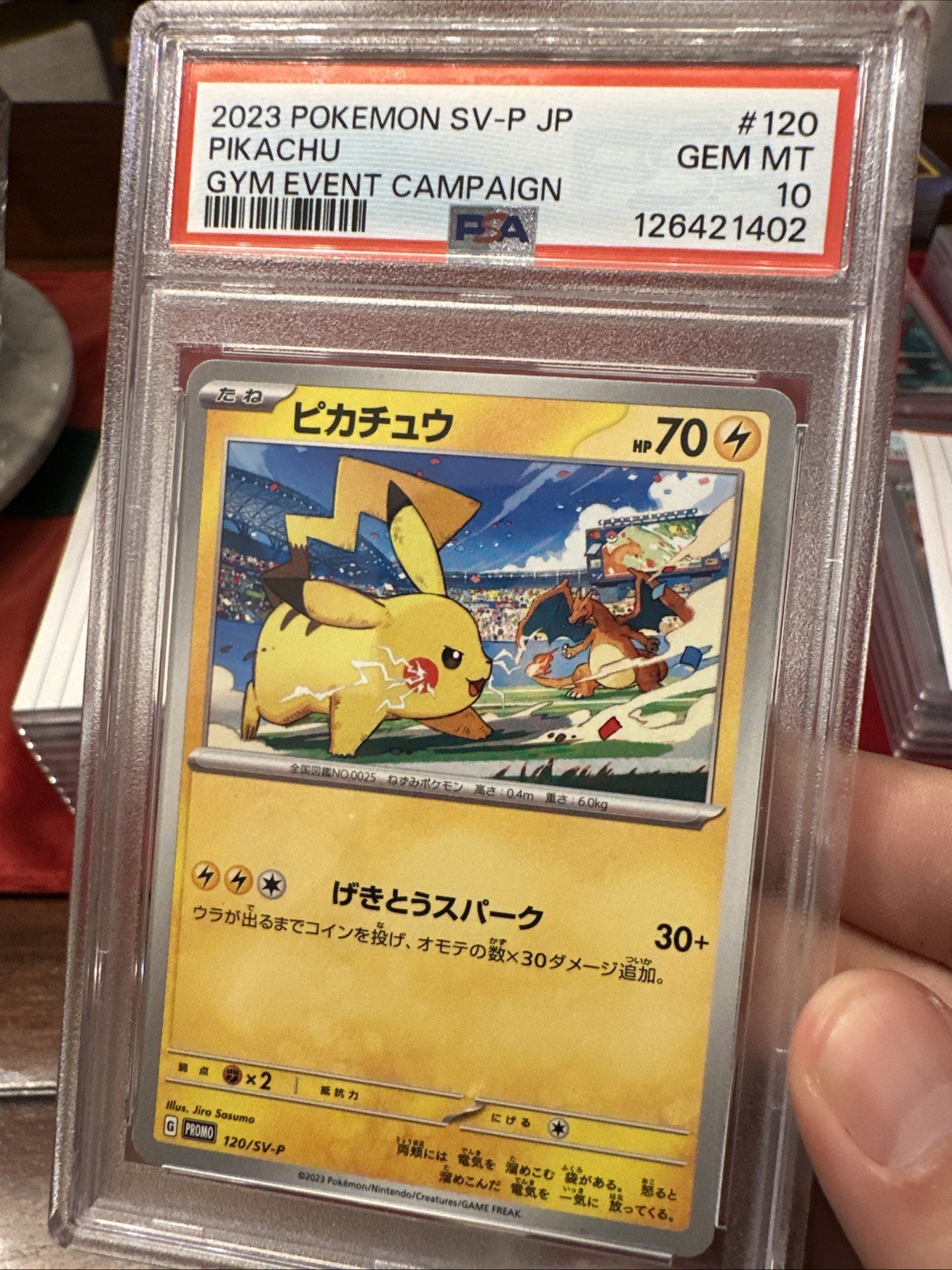 2023 Pokemon Promo Pikachu #120 Japanese Gym Event Campaign PSA 10 GEM MINT