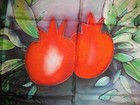 Foto 6 di 10