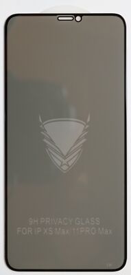 Apple iPhone 11 Pro Max Privacy Antispy Panzerfolie Displayschutzglas 9H Hülle T