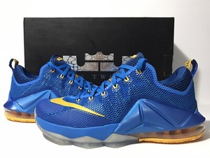 lebron xll low