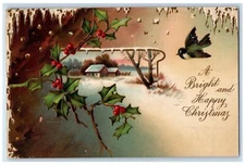 1907 Christmas Bird Holly Berries Winter Snow Clapsaddle Embossed Postcard