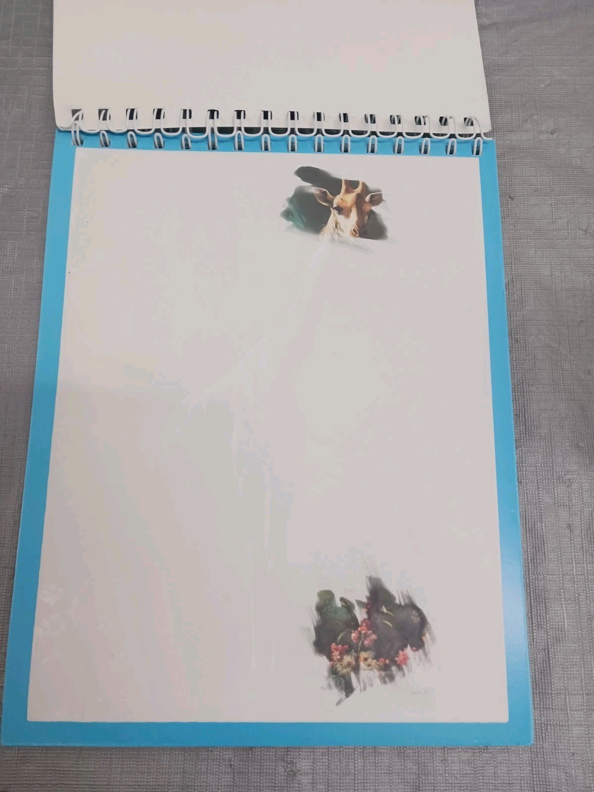 Dementia activities senior adult no mess water paint set 11" X 9". With Brushes