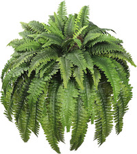 Artificial Ferns for Outdoors 96 Fronds Large Fake Boston Fern UV Resistant Faux