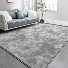Large Area Rugs for Living Room Bedroom, 4x6 Feet, Super Soft Indoor Thickene