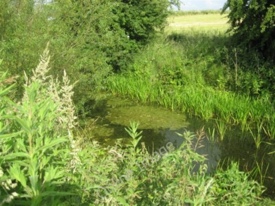 Foto 6x4 Frühling steht auf der OS Karte Tormarton aber es's so viel mo c2009