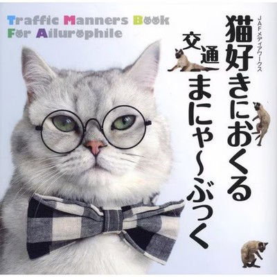 Cat Lovers Transportation Book Hardcover Cute Road Safety Photos For Ages 14+