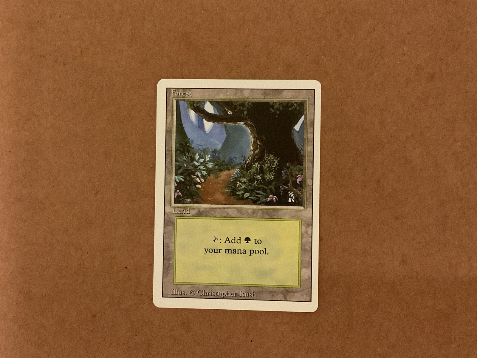 MTG Magic Forest B Unsigned Artist Proof X1 Revised 3ED Christopher Rush