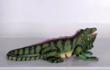 Iguana 24"  replica