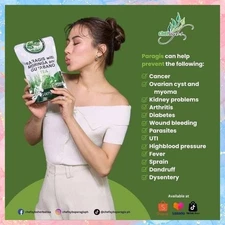 Chef Aybs Paragis Tea with Moringa and Guyabano Chef Ayb's (20 Tea bags)