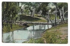 Sheep Crossing a Creek, Australia, Postcard, 1907, Valentine