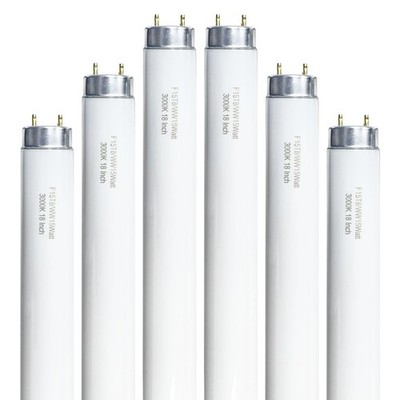 18 Inch F15T8/WW 15W Soft White Fluorescent Bulb Compatible with 
