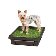 PetSafe Pet Loo Portable Dog Potty, Small, Easy-to-Clean Grass Mat, Odor