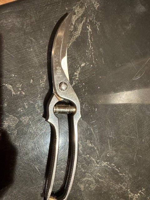 Vtg Wusthof 10" Germany stainless steel poultry shears w/lock function, clean!