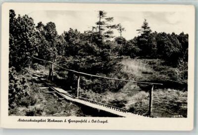 39567713 - 8231 Zinnwald-Georgenfeld jetty through the nature reserve Hochmoos