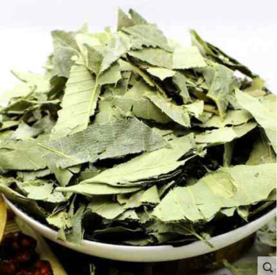 Epimedium sagittatum