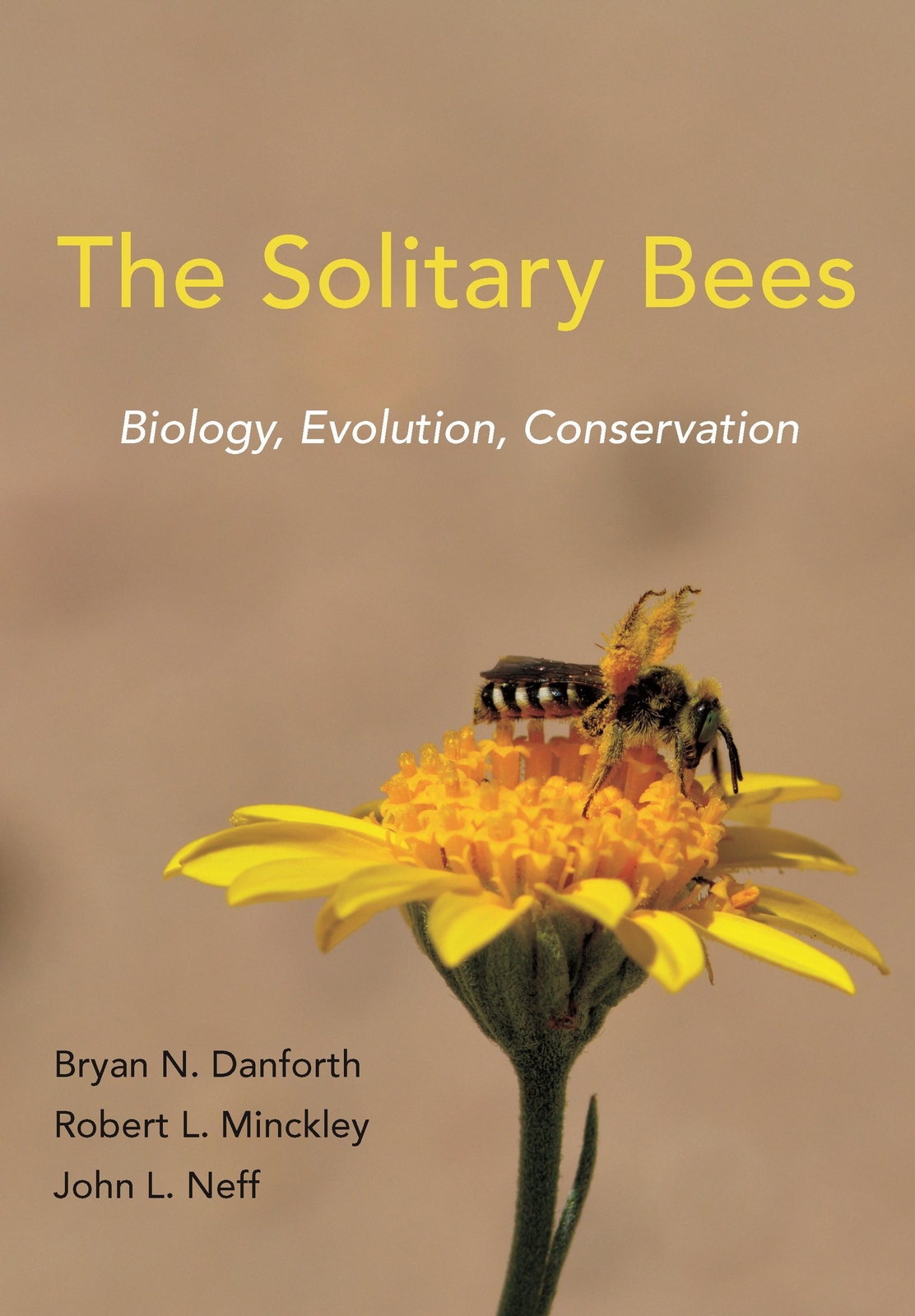 Thumbnail - Solitary Bees Bryan N. Danforth
