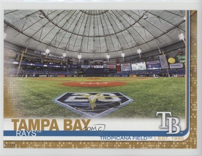 2019 Topps Topps.com Online Exclusive 5x7 Jumbo Gold /10 Tropicana Field 0c3