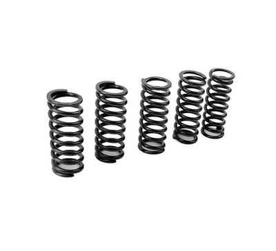 PROX KUPPLUNGSFEDERNSATZ YAMAHA RAPTOR 250 08-13, 350 05-13, 660 01-05