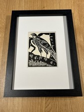 ‘Sparrowhawk’- Framed Woodcut Bird By Raphael Nelson, dated 1940s