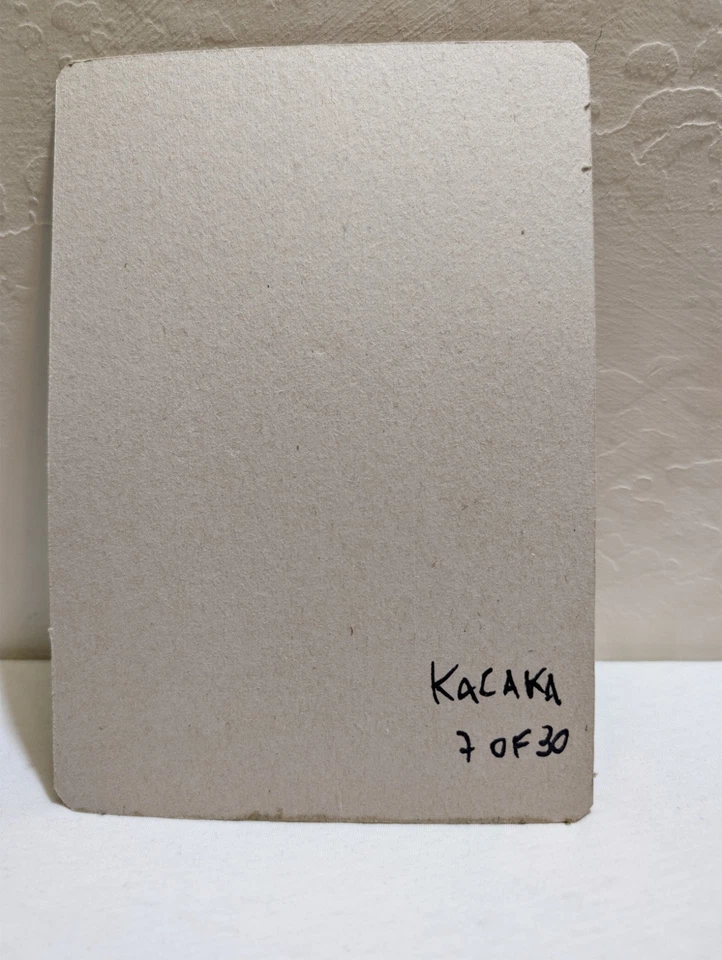 Kalaka Toys CRIME Skeletor Bart RARO 7/30 Foto 2 de 2