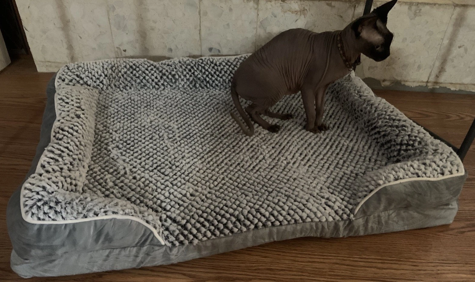 Large Dog Cat Pet Bed New In Box Comes With Foam And Cover